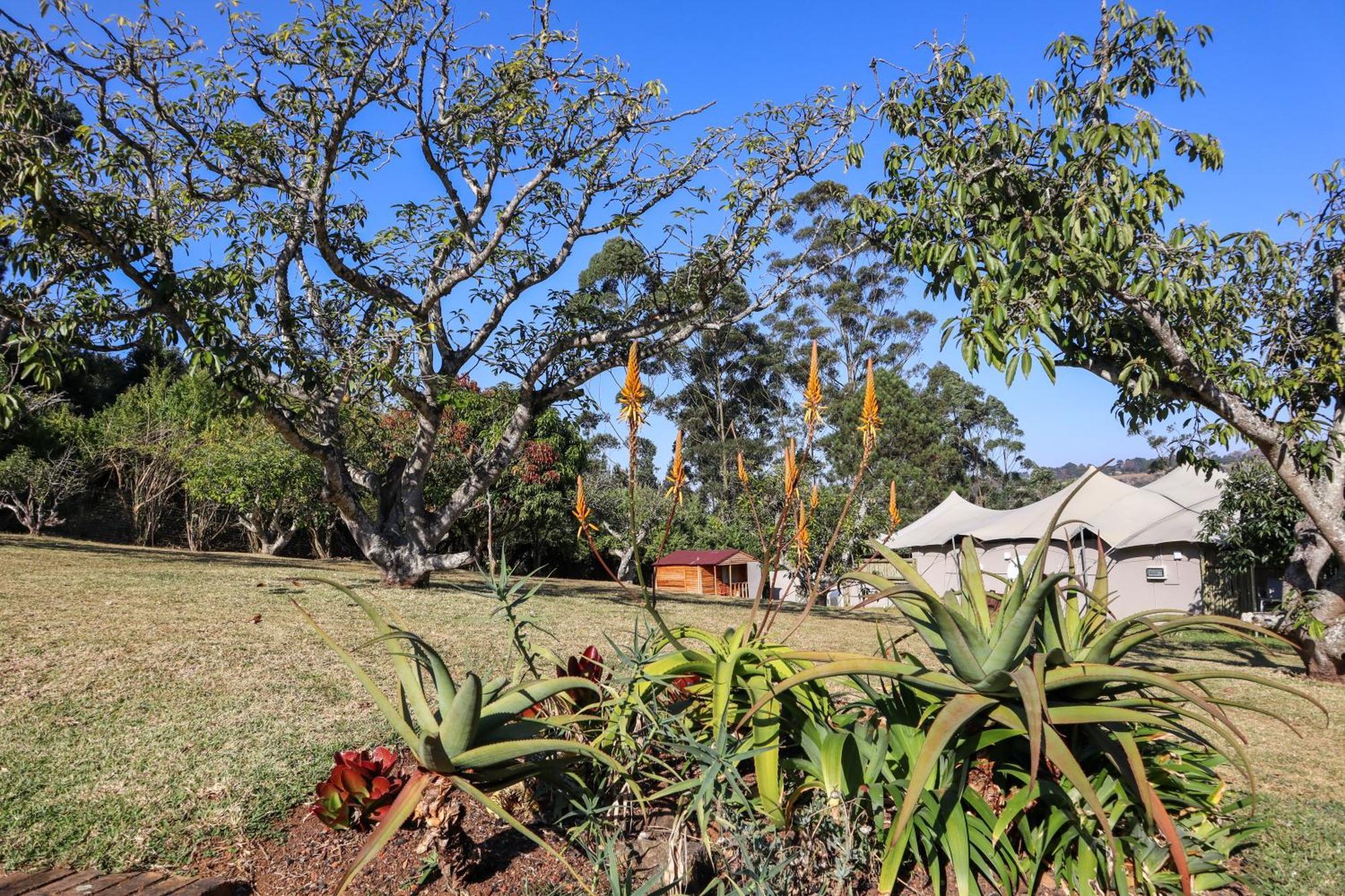 Matusadona Guest Lodge Hillcrest Exterior photo